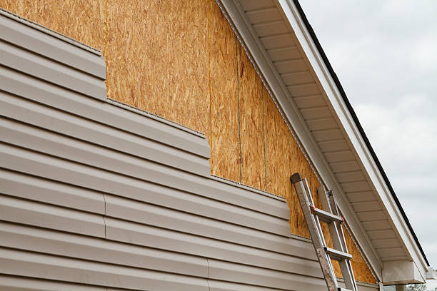 Professional Storm Damage Siding Repair technician working in Afton, MN